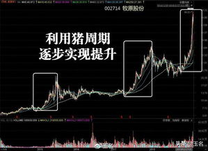 如何看股票隐形