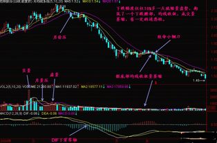 股票下跌行情中如何操作
