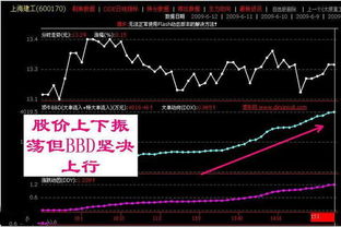 如何判断股票有多少股份