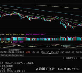 新西兰证券账户怎么开