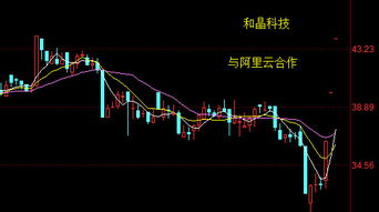 中投证券怎么买入