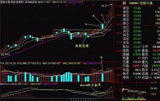 如何看到投资股票的特征