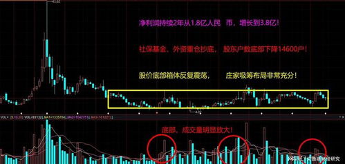 如何成为股票庄家