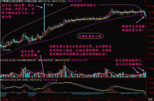 如何判断股票成长特征