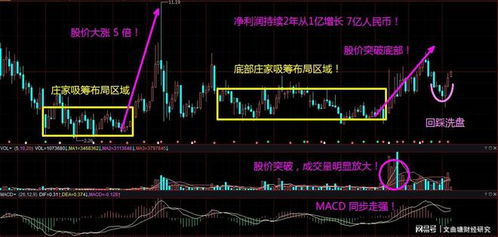 股票如何找到5倍股票