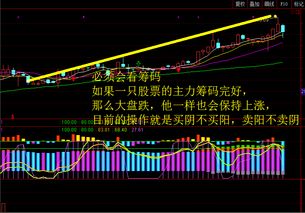 如何选底背离的股票
