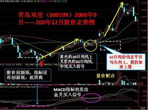如何看股票20日均价 如何看股票20日均价