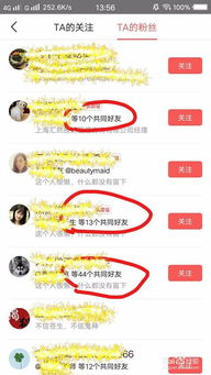 股票如何获得头条认证号