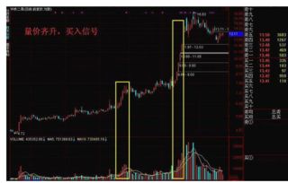 如何查历史股票持有量