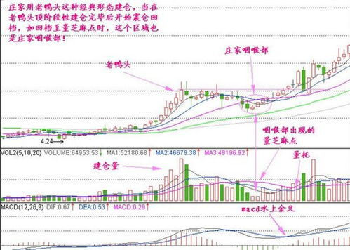 分红后股票如何上市交易