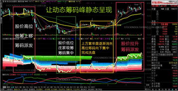 通达信股票池如何使用
