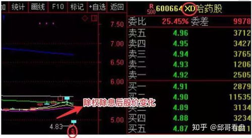 如何查帐户股票分红