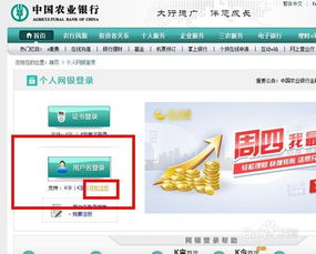 银行和证券怎么挑战