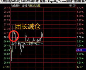 如何挑选股票的龙头企业