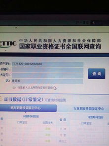 证券账号丢了怎么补办