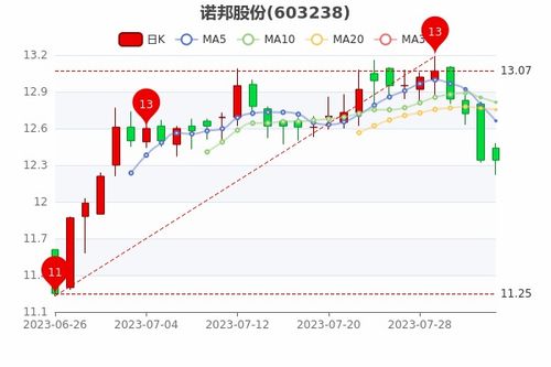 如何调整股票大单净流入