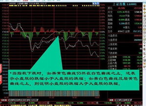 初学者如何看股票大盘 初学者如何看股票大盘