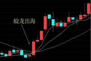 上半年行情如何操作股票