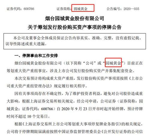 证券公告怎么写