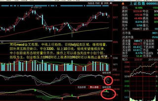 3如何修改股票中的WR