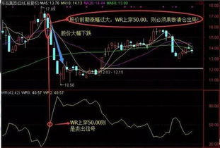 3如何修改股票中的WR