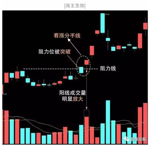 如何成为股票操盘手视频