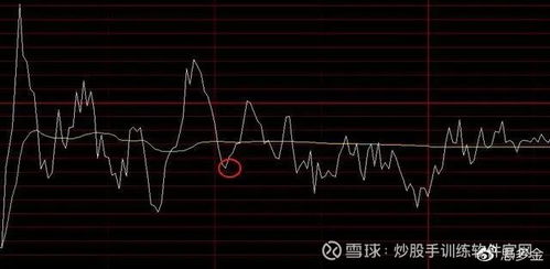 如何看好一只股票