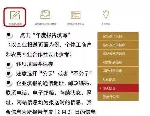 股票如何填报