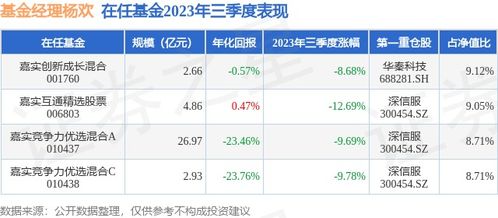股票基金如何选