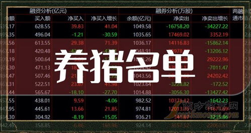 如何看养猪股票龙头股