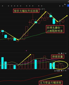 稀土类股票如何 稀土类股票如何