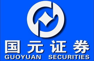 国元证券怎么存钱
