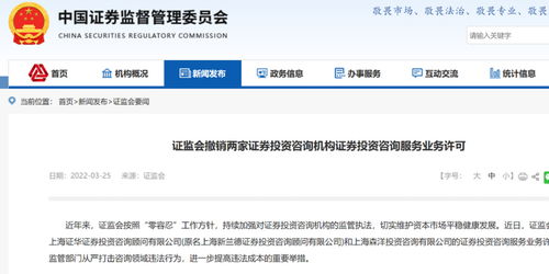 证券投资怎么查询 证券投资怎么查询