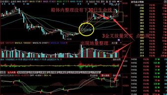 股票如何理解线 股票如何理解线