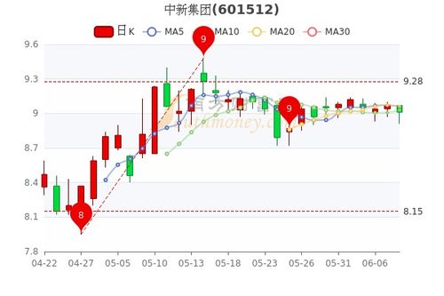 新公司如何分配股票成本