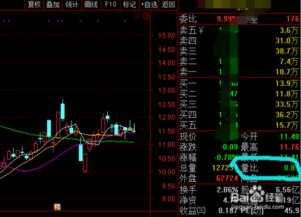 股票如何发行流通 股票如何发行流通