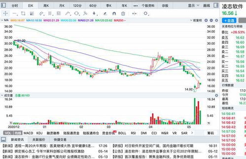 如何看公司发行股票数量