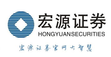 宏源证券今天怎么回事