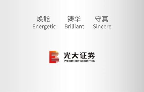光大证券年报摘要怎么看
