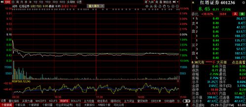 红塔证券股票怎么样