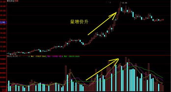 如何保持股票的成交量高