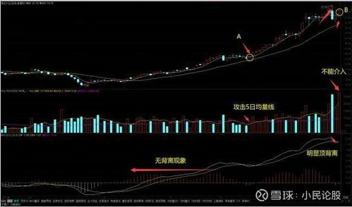 股票如何做成盈利模式呢