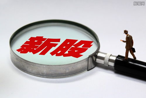股票公司如何开办