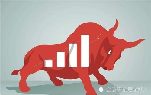 散户股票如何理性投资的