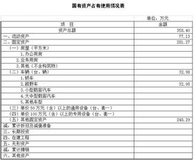 有价证券金额怎么填写