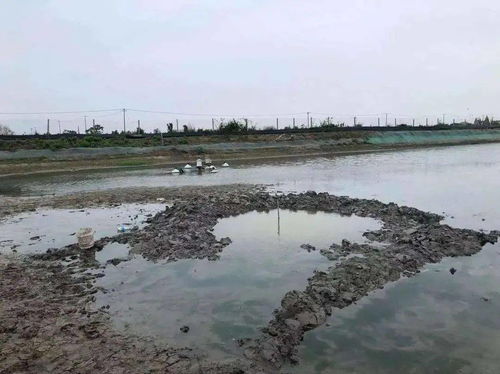 华鑫证券年化收益怎么查