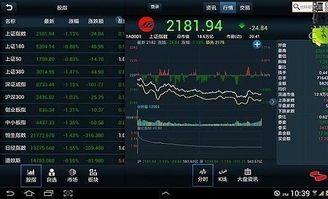 民族证券炒股怎么用
