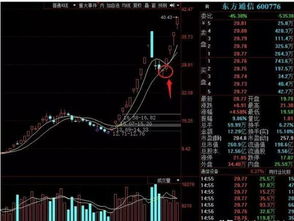 如何看懂清仓股票指数