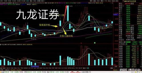 如何精美补仓股票