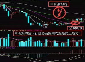 如何加入股票实战